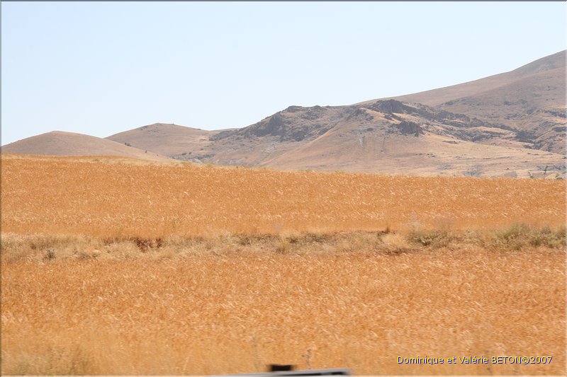 TR2007_0199