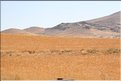 TR2007_0199