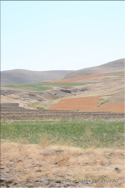 TR2007_0200