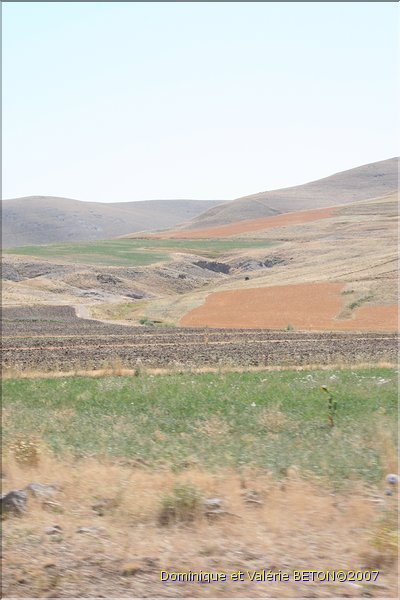 TR2007_0201