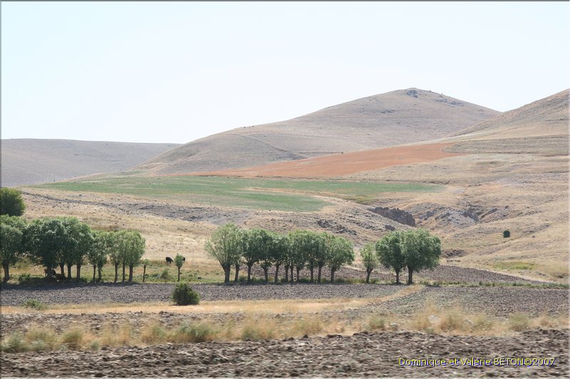 TR2007_0202
