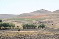 TR2007_0202