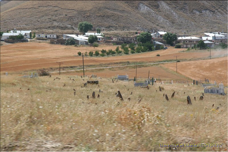TR2007_0203