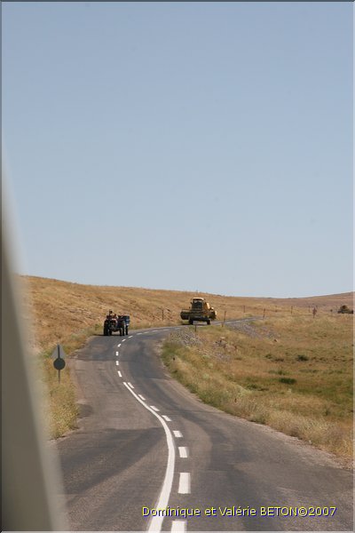 TR2007_0206