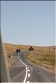 TR2007_0206
