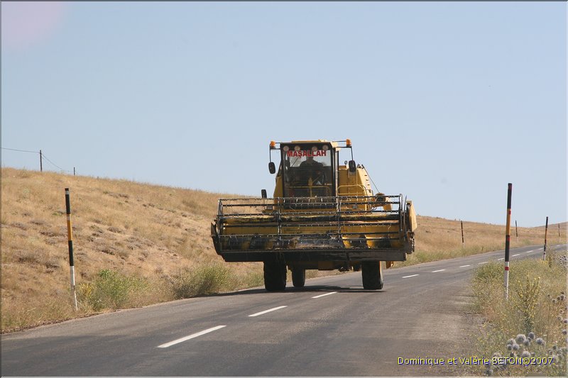 TR2007_0207