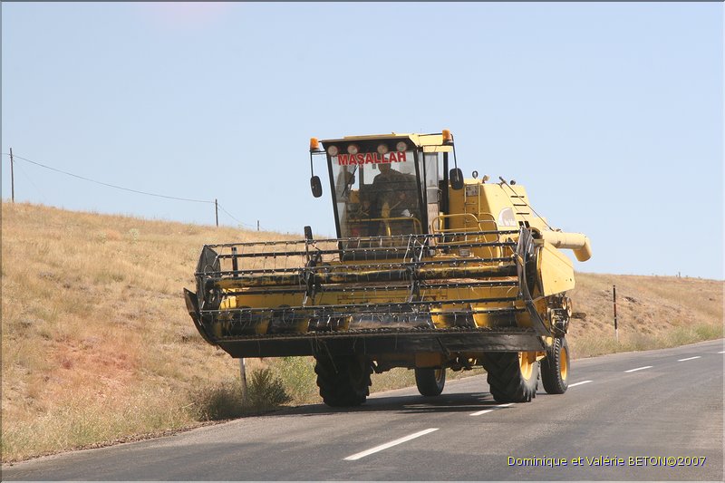 TR2007_0208