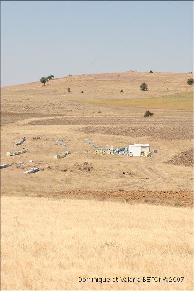 TR2007_0214