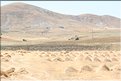 TR2007_0222