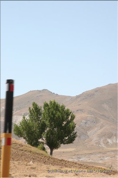 TR2007_0225