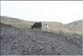 TR2007_0280