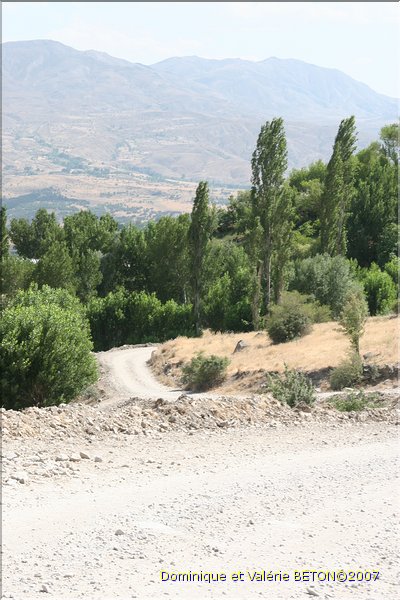 TR2007_0287