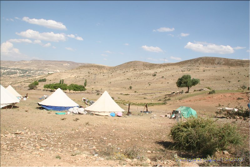 TR2007_0301