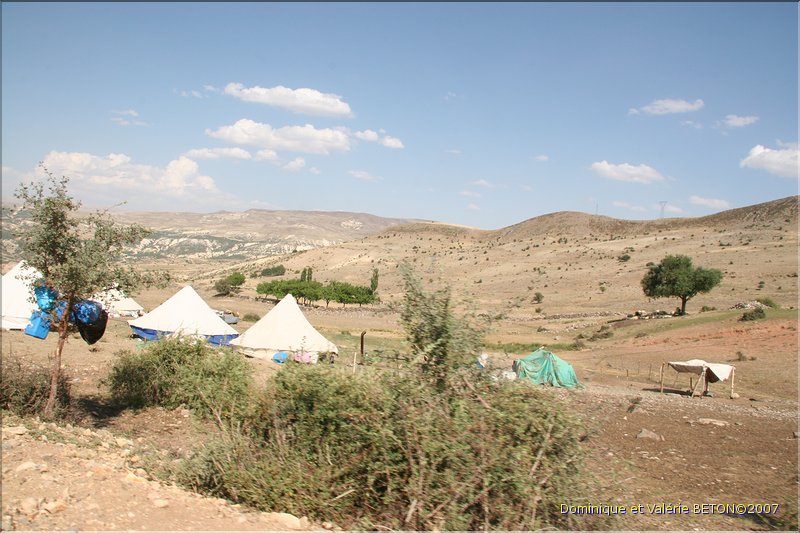 TR2007_0303