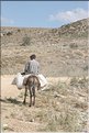 TR2007_0306