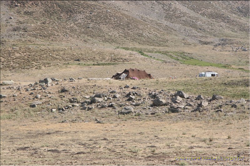 TR2007_0308