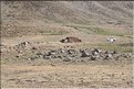 TR2007_0308