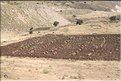 TR2007_0310