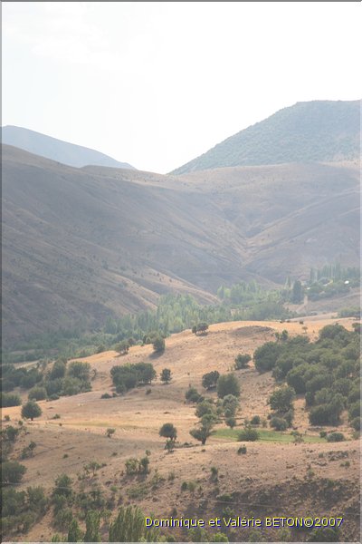 TR2007_0313