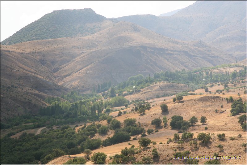 TR2007_0314
