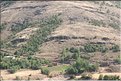 TR2007_0317