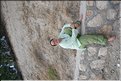 TR2007_0325