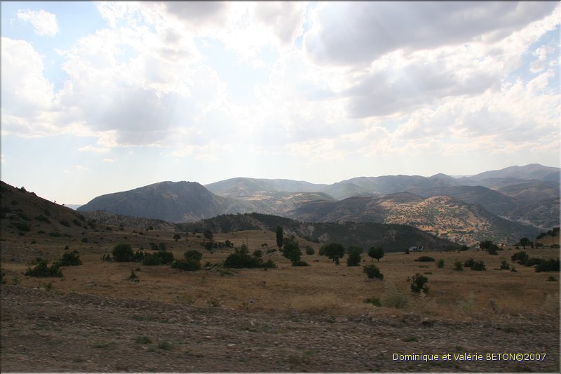 TR2007_0329