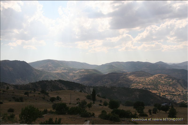 TR2007_0330