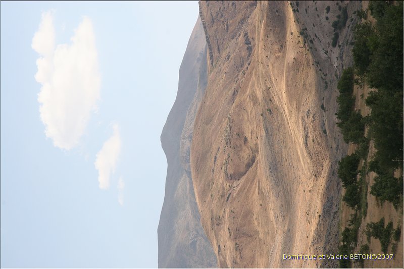 TR2007_0333