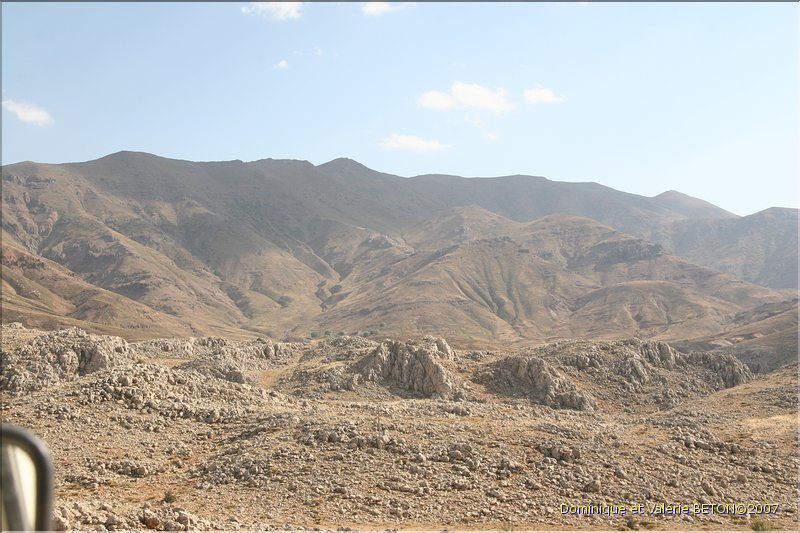 TR2007_0335