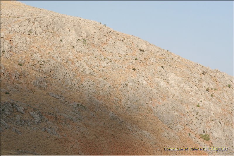 TR2007_0340