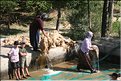 TR2007_0346