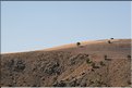 TR2007_0349