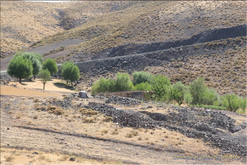 TR2007_0350