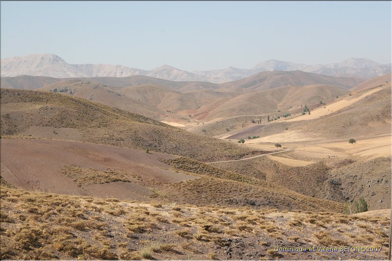 TR2007_0351