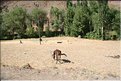TR2007_0356