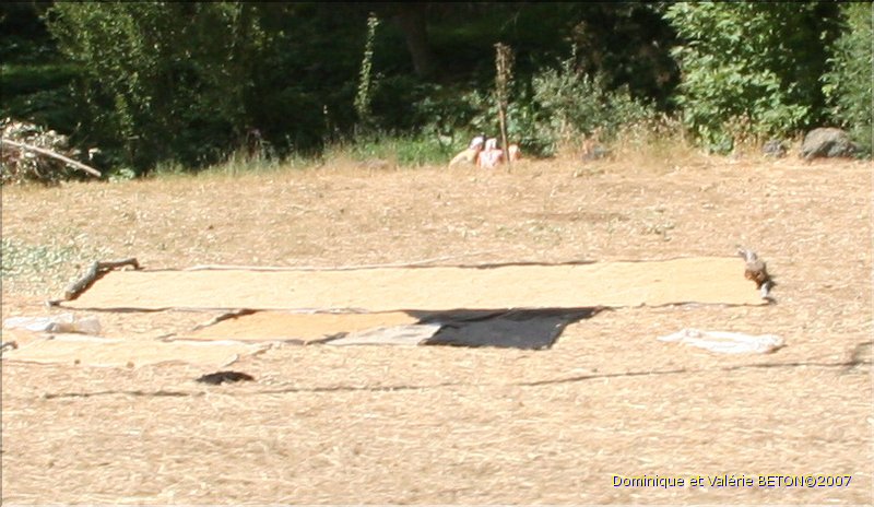 TR2007_0356b