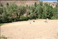 TR2007_0357