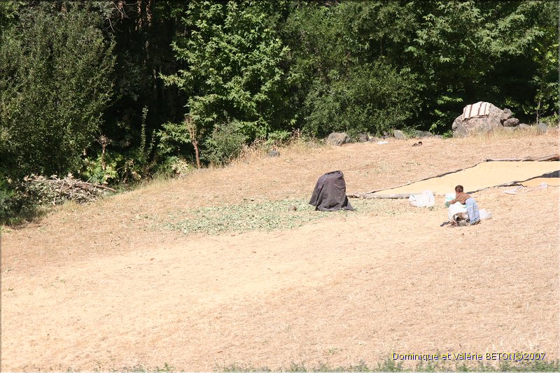 TR2007_0358