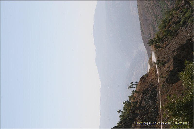 TR2007_0361