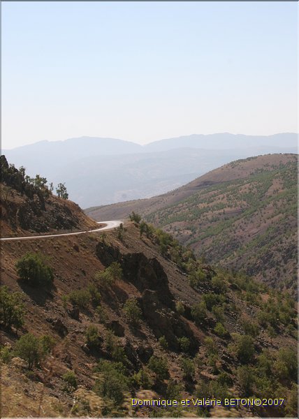 TR2007_0362b
