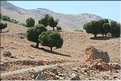 TR2007_0368