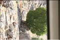 TR2007_0369