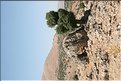 TR2007_0371