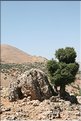 TR2007_0371b