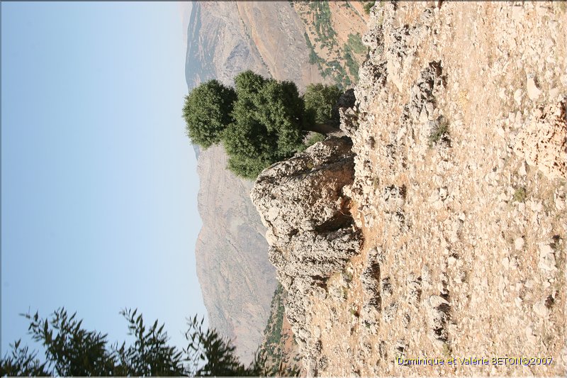 TR2007_0372