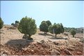 TR2007_0374