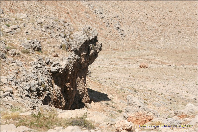 TR2007_0378