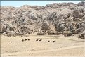TR2007_0381