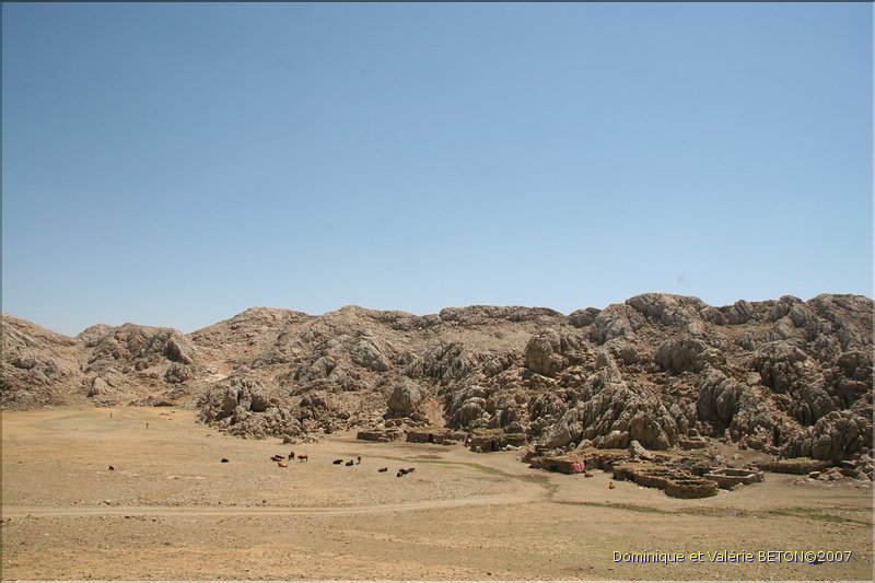 TR2007_0382